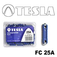 Предохранитель FC25А.100 (пальчиковые)