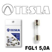 Предохранитель FGL5A 20mm. (стеклянный)