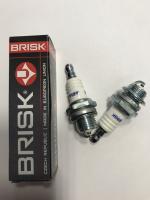 Свечи зажигания GARDEN P15Y (3037)