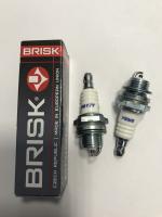 Свечи зажигания GARDEN PR17Y (3021)