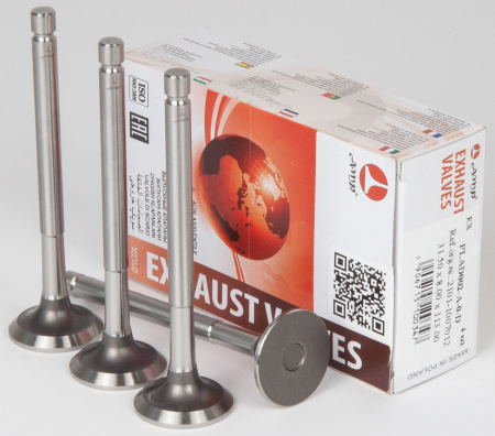 Клапана ВАЗ 2101