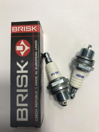 Свечи зажигания GARDEN P17Y (3023)